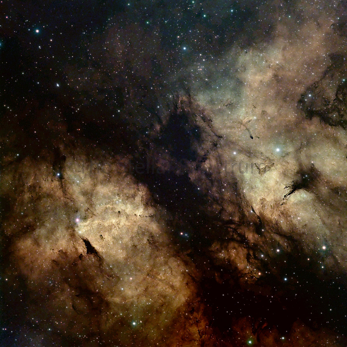 Butterfly Nebula