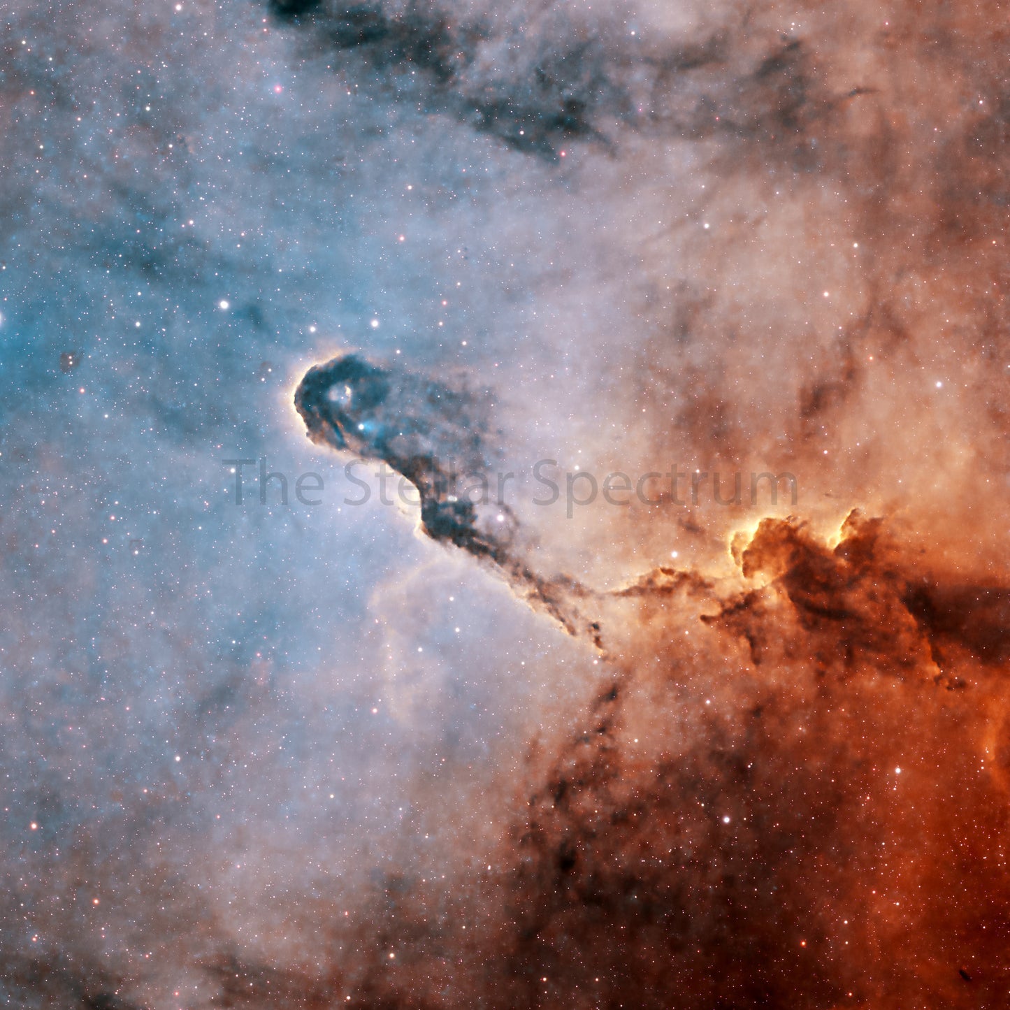Elephant's Trunk Nebula