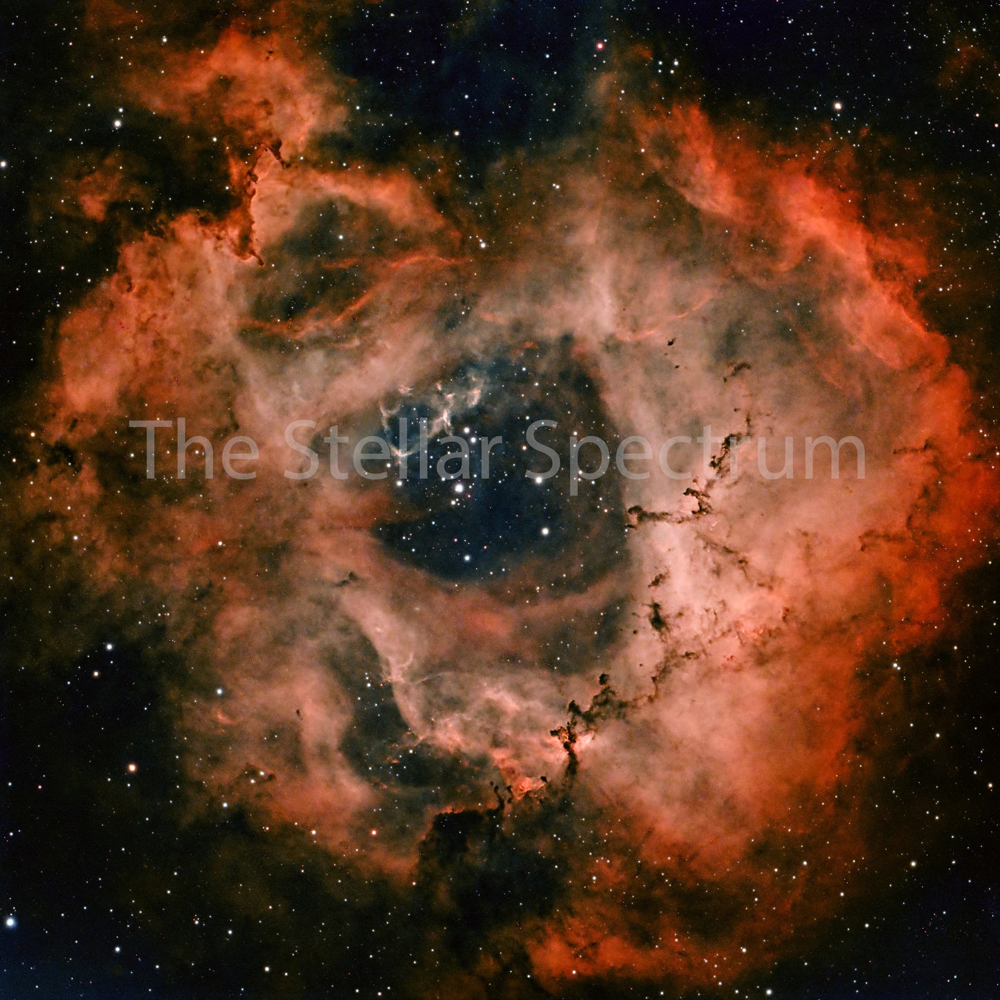 Rosette Nebula