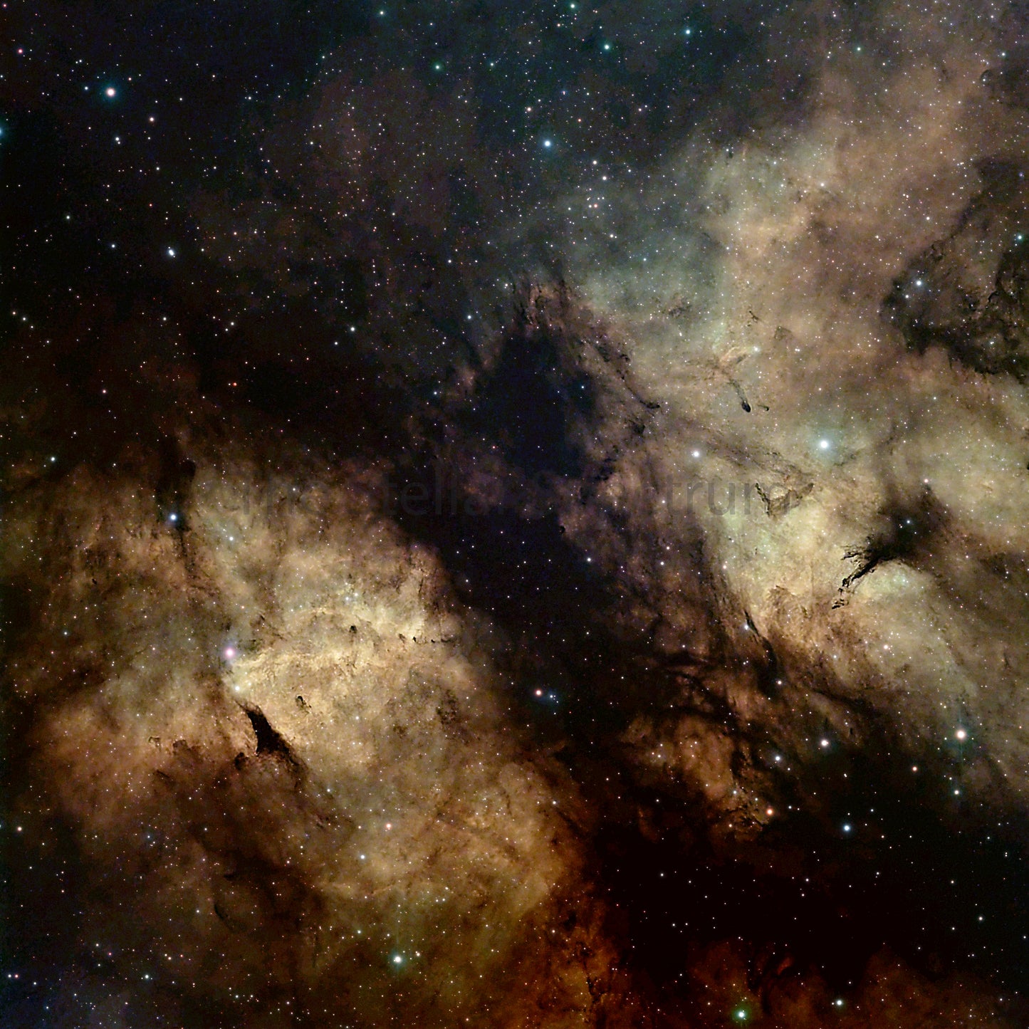 Butterfly Nebula