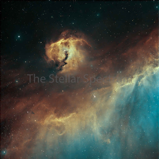 Seagull Nebula