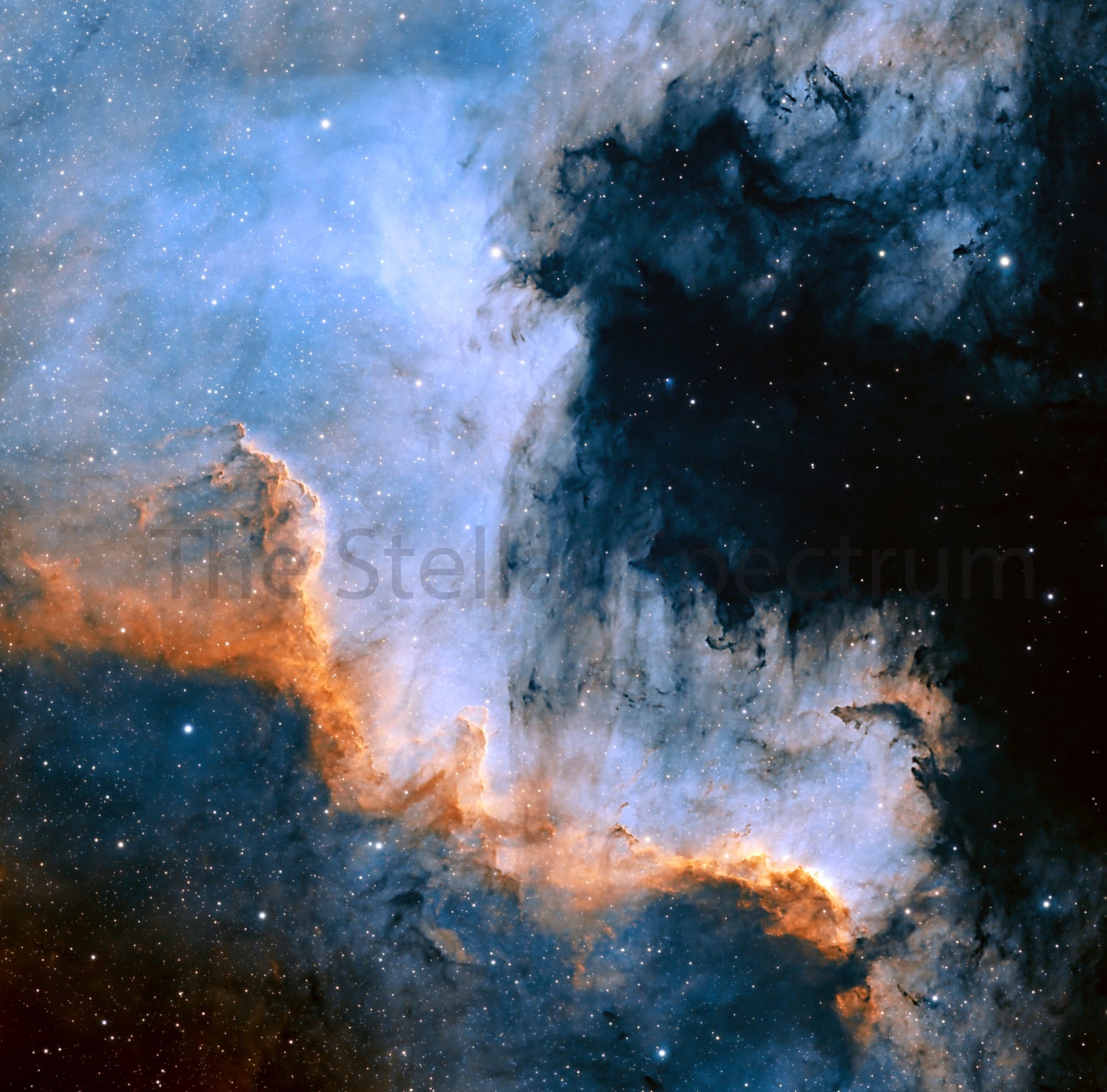 Cygnus Wall